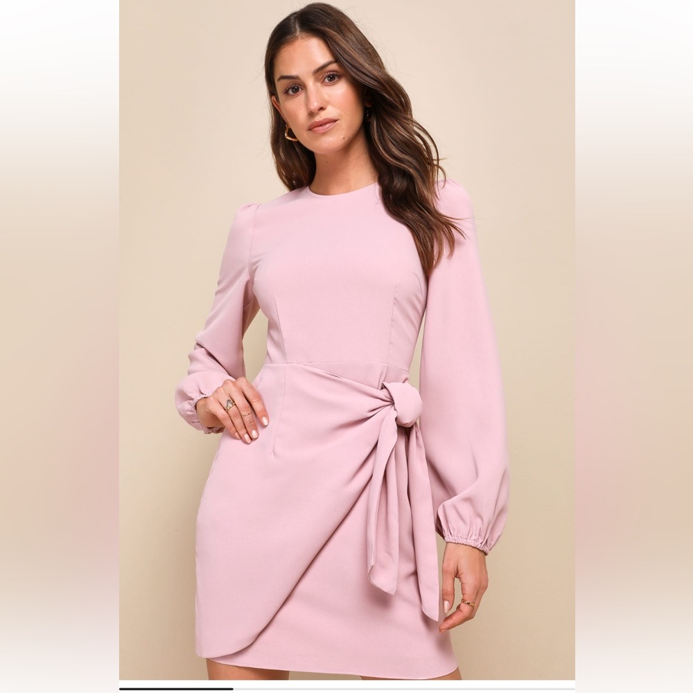 Believe It or Knot Rose Pink Long Sleeve Tie-Front Skater Dress | Size Small